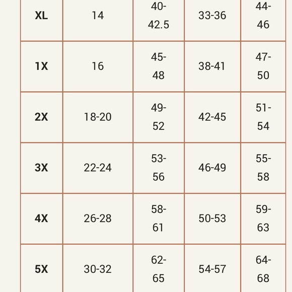 Daisy Maxi Dress in Lace Mesh - Picture 3 of 3